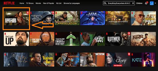 Regardez tout partout en même temps sur Netflix maintenant Tout partout tout à la fois