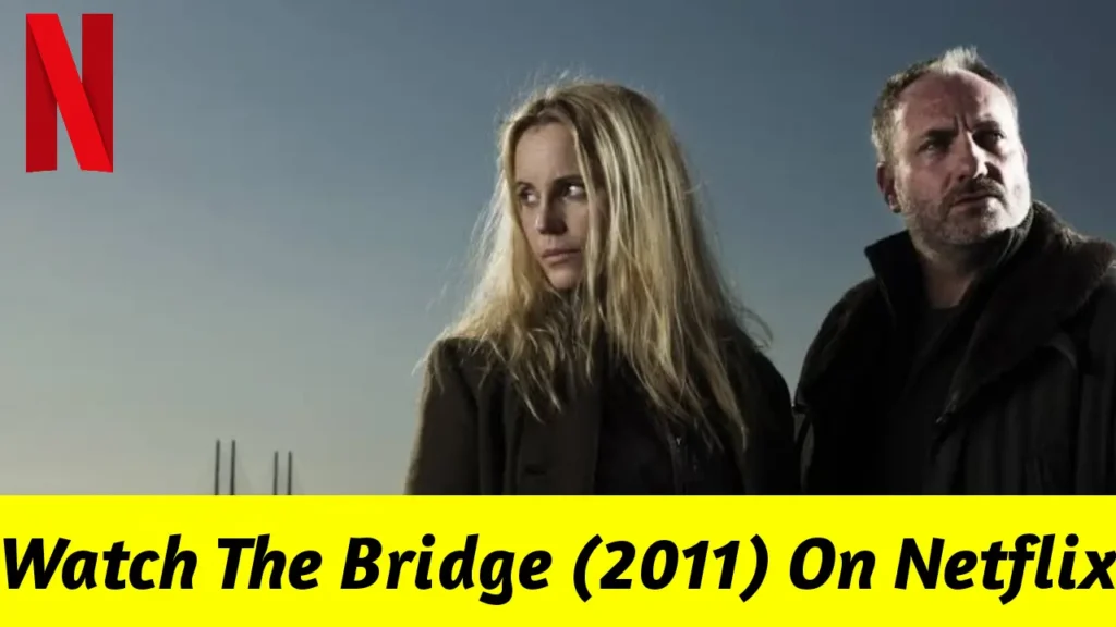 Comment regarder The Bridge (2011) Toutes les saisons sur Netflix depuis n'importe où