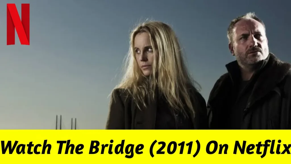 Watch The Bridge on Netflix