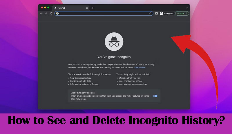 How to See and Delete Incognito History? Step-By-Step Guide