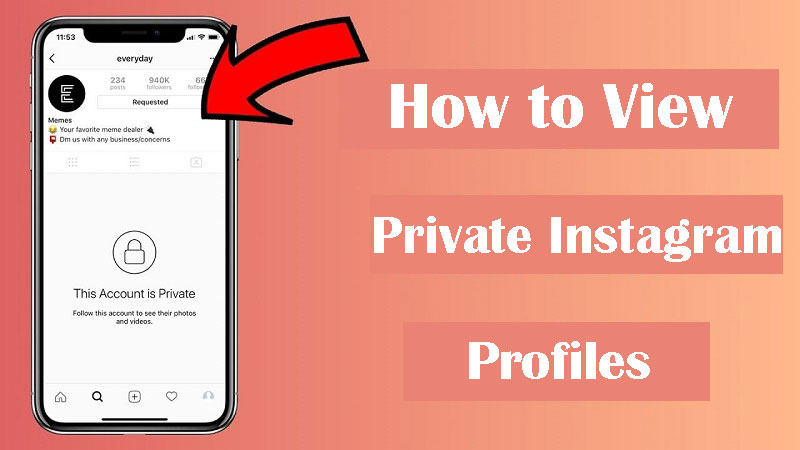 Private Instagram Profile Unlock